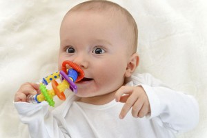 Babys testen nicht nur, wie ein Greifling klingt und ausschaut, sondern auch, wie er schmeckt... Foto: djd/windeltorte-exclusive.de/thx