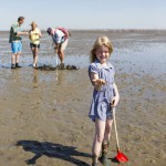 Muscheln, Krebse, Seesterne - bei einer geführten Wattwanderung an der Nordsee gibt es eine Menge zu entdecken.Foto: djd/Tourismus GmbH Gemeinde Dornum